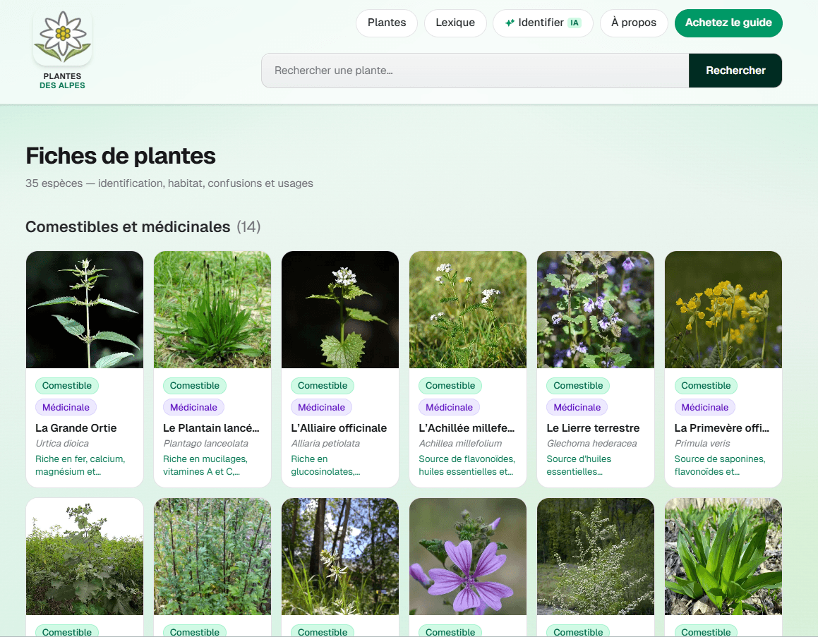 Identification de plantes par IA — Application de description et d’identification par IA de plantes sauvages