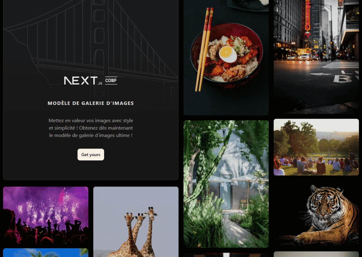 Image Gallerie — Galerie d'images entièrement responsive, développée avec Next.js et Tailwind CSS, pour une expérience fluide sur tous les appareils.