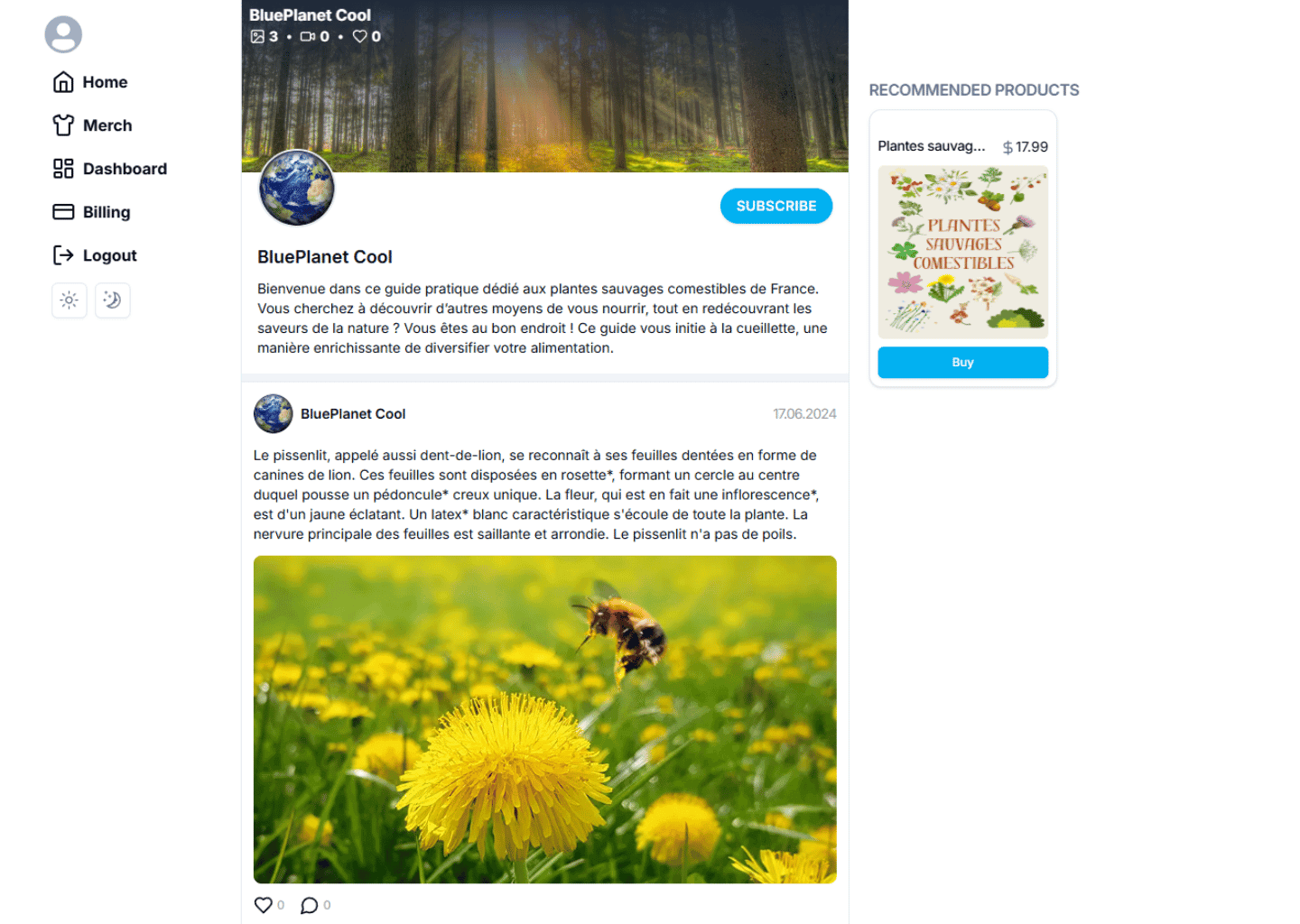 Reseau Social — Réseau social personnalisé développé avec Next.js, intégrant un système d'abonnement payant et la vente de produits dérivés